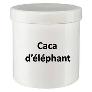 Caca d'éléphant | Bienfaits nombreux | Ce qu'il faut savoir